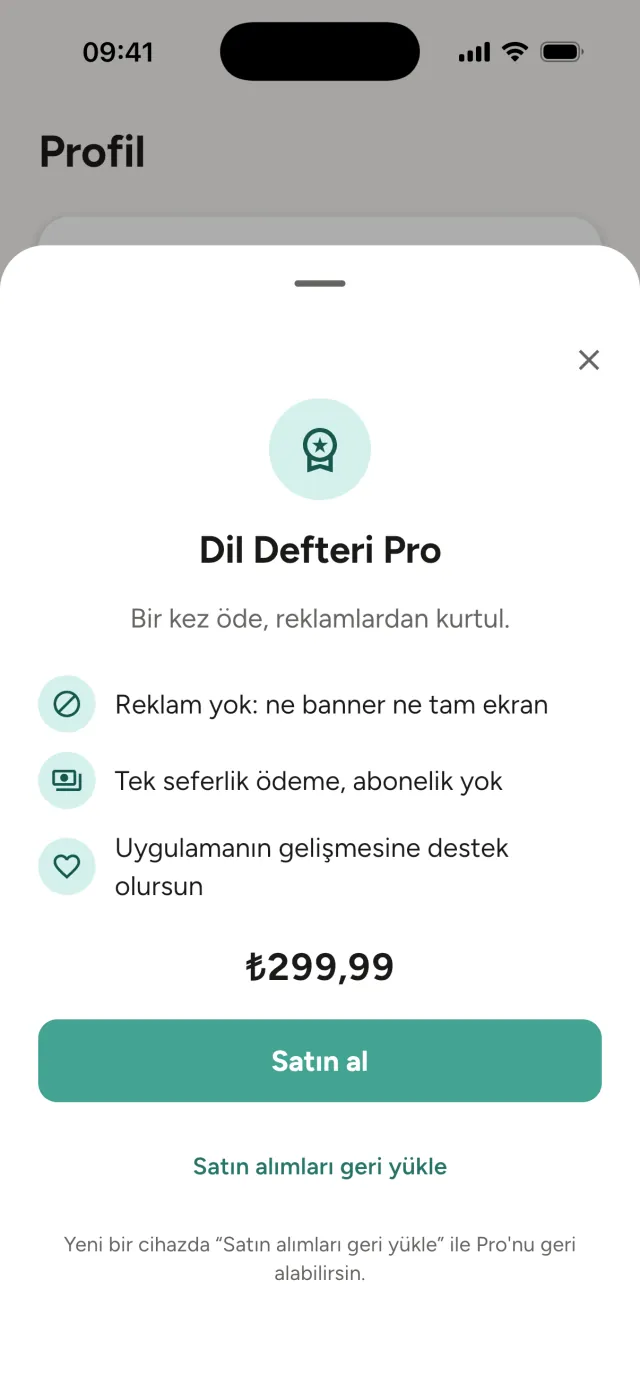 Dil Defteri Pro ekranı: tek seferlik ödeme, abonelik yok